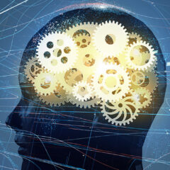 Humanhealthperformancellc